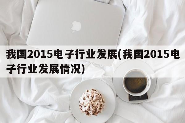 我国2015电子行业发展(我国2015电子行业发展情况)